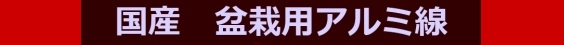 ̃Z[iCibv
